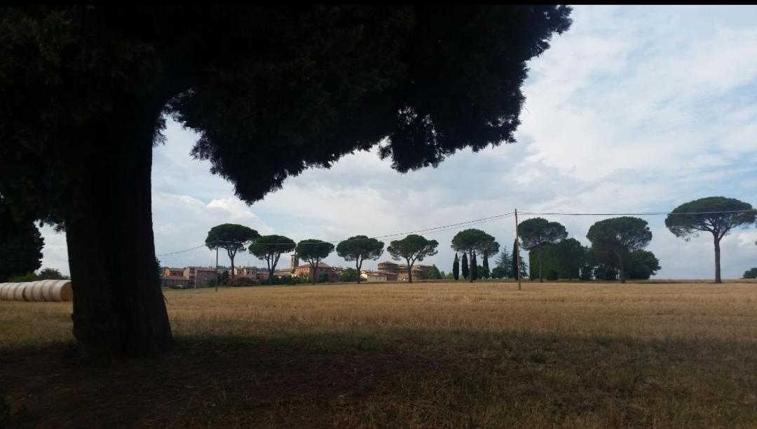 Appartamento La Mimosa Dozza Esterno foto
