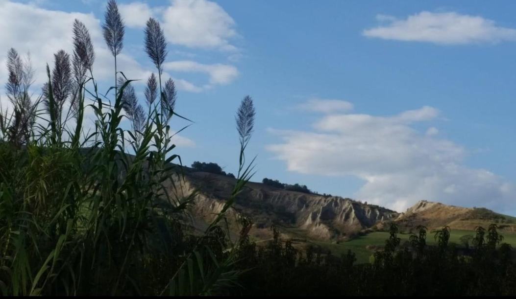Appartamento La Mimosa Dozza Esterno foto