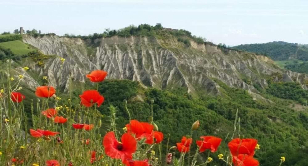 Appartamento La Mimosa Dozza Esterno foto