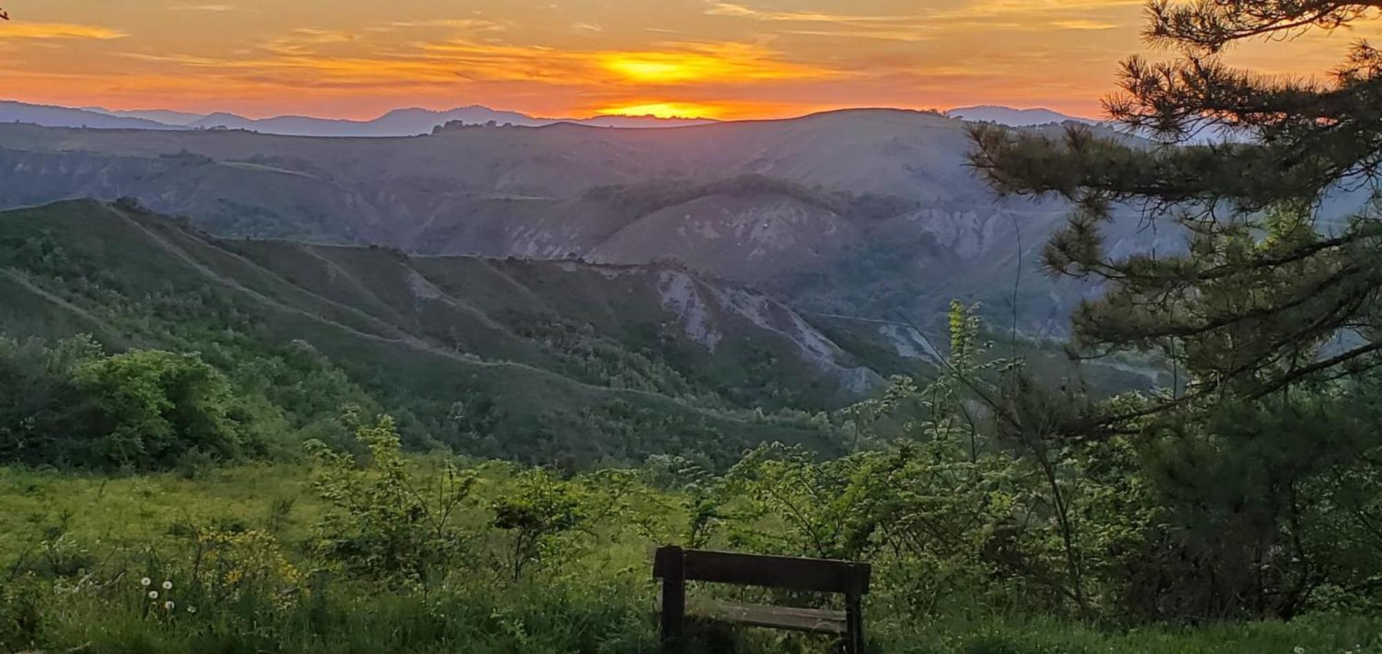 Appartamento La Mimosa Dozza Esterno foto